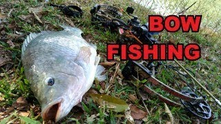 BOW FISHING - BRANCONAS GIGANTES - THYAGO SUB