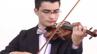 Can You Feel The Love Tonight   Rei Leao   Violino