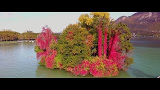 4 Seasons Showreel