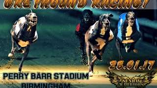 Dog Racing at Perry Barr Greyhound Stadium/ Birmingham