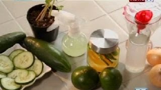 Good News: All-natural insect repellents
