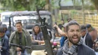 Ang Probinsyano : Ang Pagsalakay ng mga gonggong PARODY