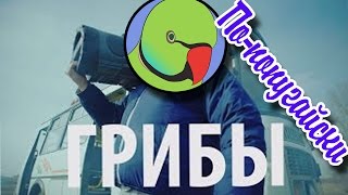 МЕЖДУ НАМИ ТАЕТ ЛЕД! ПО ПОПУГАЙСКИ! ПТЕНЦЫ ВОЛНИСТОГО ПОПУГАЯ ПРИБАВЛЕНИЕ