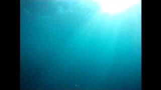 Down rigger cam
