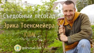 СЪЕДОБНЫЙ ЛЕСОСАД ЭРИКА ТОЕНСМЕЙЕРА (США)