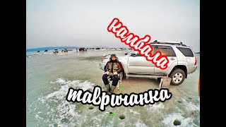 РЫБАЛКА.ЛОВИМ КАМБАЛУ НА ТАВРИЧАНСКИХ МЕЛЯКАХ .