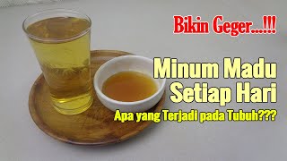 MINUM MADU SETIAP HARI, APA YANG TERJADI PADA TUBUH?