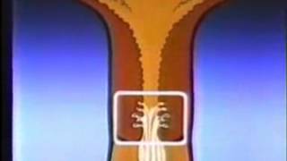 Planificación Familiar Natural - Metodo de Ovulación (1ª Parte)