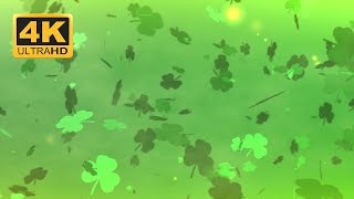 Shamrocks 4k Screensaver | Free Video Backgrounds | St Patty's Day