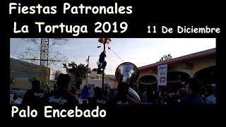 La Tortuga 2019, Fiestas Patronales, Palo Encebado, 11 De Diciembre
