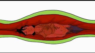 Vore Inside (Comision completa)