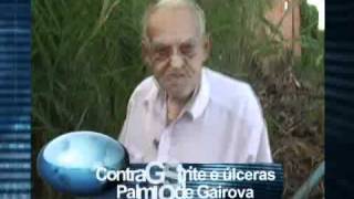 Plantão Saúde Gairova_WM9_512_Download_NTSC_ConstrainedVBR