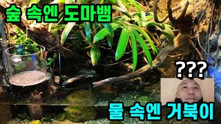 국내 최고가 만들면 이렇게 됩니다.. 이 정도면 국가에서 불러야 한다 ㅇㅈ?