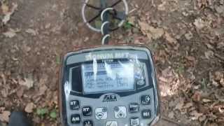 Тест, влияние грунта на показания шкалы VDI Сигнум 7272М МФТ, Квазар АРМ, Фортуна-М.