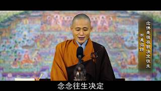 安心丨“念佛是现在就决定往生 不是临终☀”