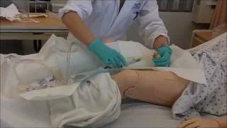 foley catheter insertion