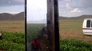 Tormenta mientras cargo chile en Ojos Negros