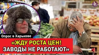 Украинцы о ценах на продукты и скумбрии по 8 гривен. Опрос в Харькове
