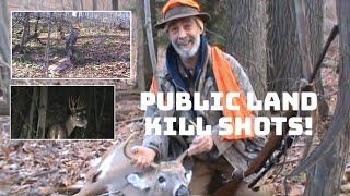 2011 Public land deer kills!