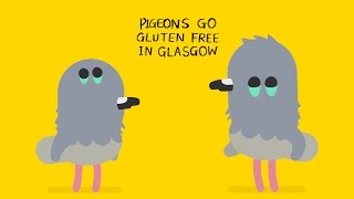 The pigeons go gluten free in Glasgow