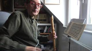 Pietro  Pellegrini, Concerto di flauto, 2 Andante