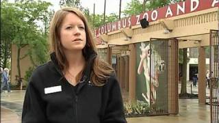 Teen Summer Jobs