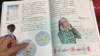 神經系統｜國一生物上學期第三次段考