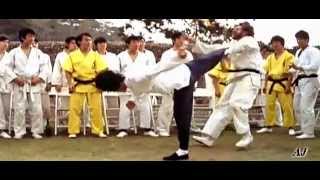 Lý Tiểu Long_ đỉnh cao võ thuật [brucelee trọng]