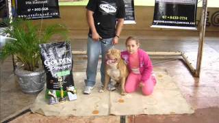video do tysom