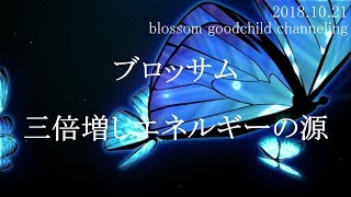 【ブロッサム】三倍増しエネルギーの源のお話