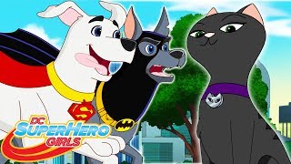 Gone To The Dogs Part 2 | 408 | DC Super Hero Girls