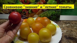 "Зимние" томаты намного вкуснее! 
