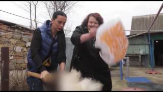 chicken slaughter