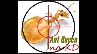 [L2C:Gran Kain] Ant Queen по КД (14-12-14)