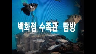 의왕 수족관방문, 열대수족관, 수족관탐방, 구피,제브라,엔젤,네온테트----솔개 걸어서( Trail  walking)