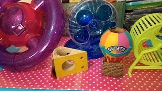 Nuevos juguetes para mi Hamster Intercambio con Griss Smile