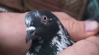 Новые участнгики зимнего полигона в Рубежном!