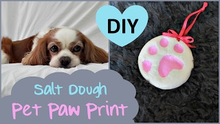 DIY Pet Paw Print | SALT DOUGH