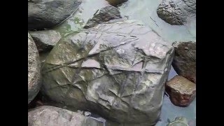 Странный камень на заливе у средневекового замка Бальга.