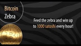 conheça biticoin zebra faucet