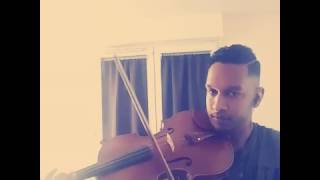 Despacito viola cover