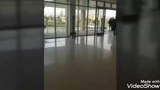 3 lüt qızın yeni videosu