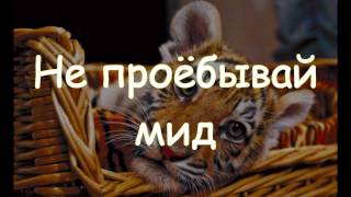 Социальная реклама Dota 2