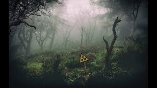 S.T.A.L.K.E.R. - Call of Chernobyl [stason174] - Тайна Зоны, часть 10