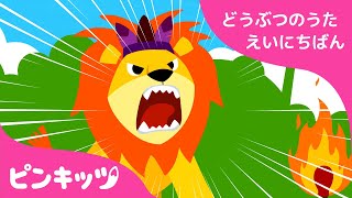 ライオン | どうぶつのうた 英日版 | 子供向け 英語の歌 | ピンキッツ童謡