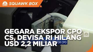 Ekspor CPO CS Dimoratorium, Devisa RI Tergerus USD 2,2 Miliar