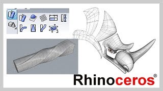 Rhino tutorial軟件教學 16 扭轉