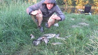 Ловля Леща Ночью на Фидер. Река. Рыбалка Брест.