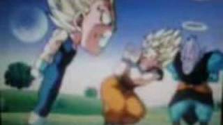 irritated vegeta