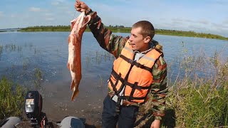 река Белая | рыбалка в троллинг | Щука на 4кг